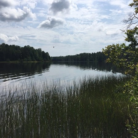 Lake Absegami